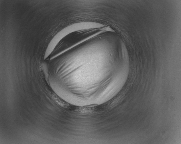 X0000082940384200702222253