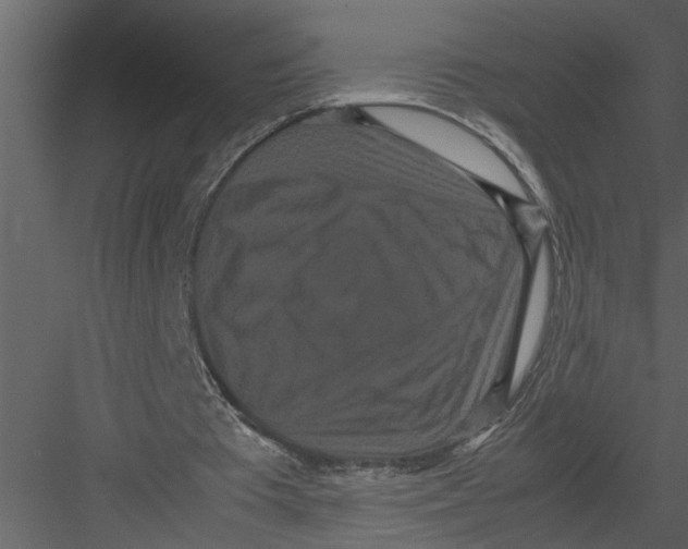 X0000082940385200702222252