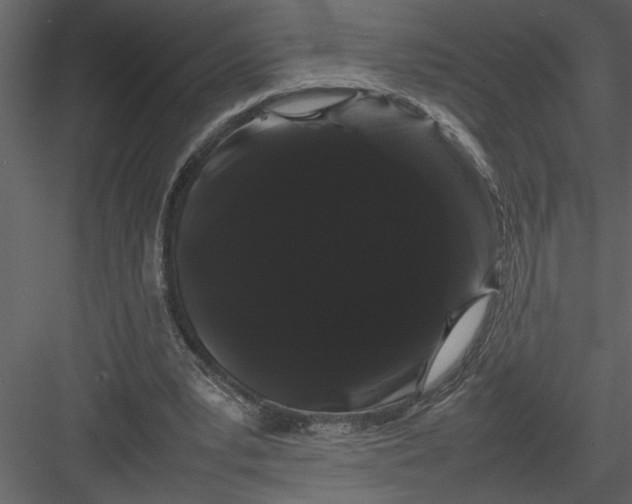 X0000082940391200702222252