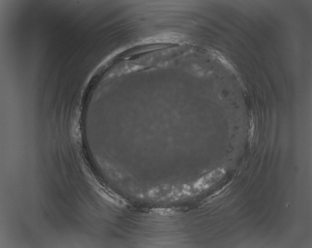 X0000082940392200702222252