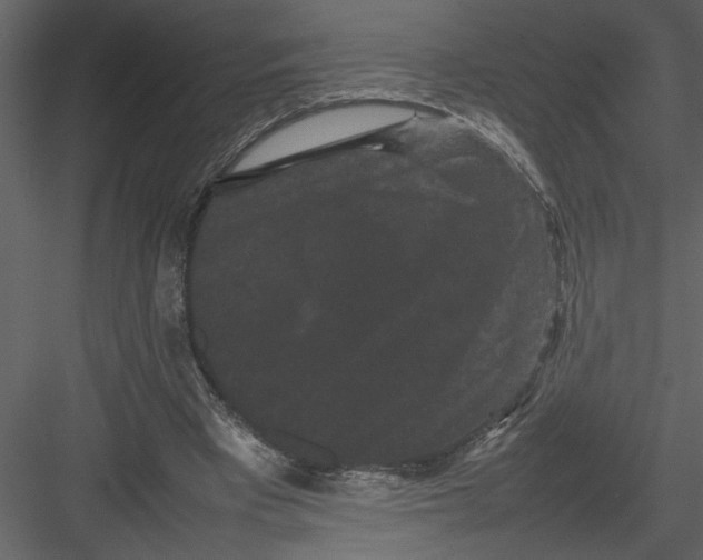 X0000082940393200702222252