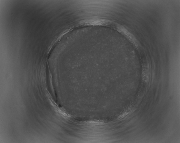 X0000082940394200702222252