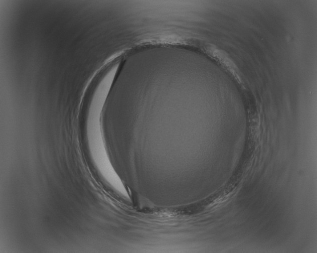 X0000082940395200702222252