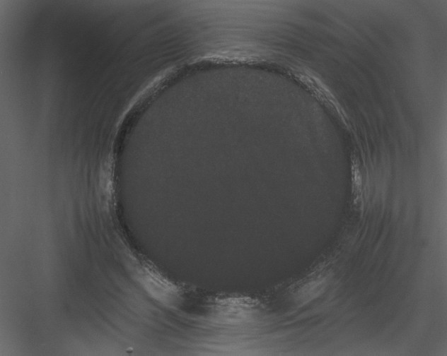 X0000082940396200702222252