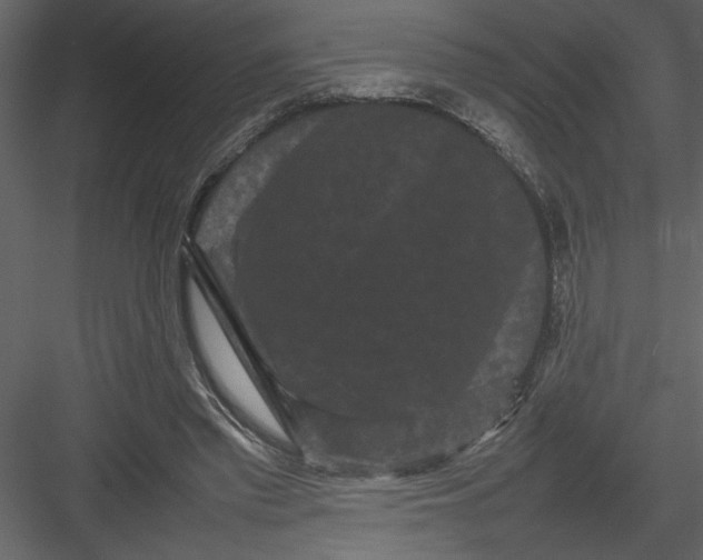 X0000082940397200702222252