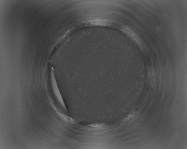 X0000082940398200702222252