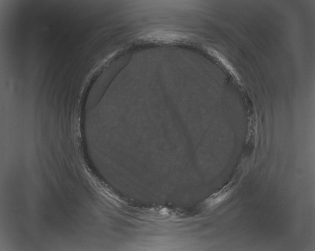 X0000082940399200702222252