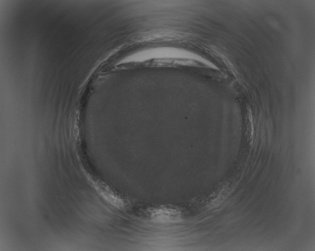 X0000082940400200702222252