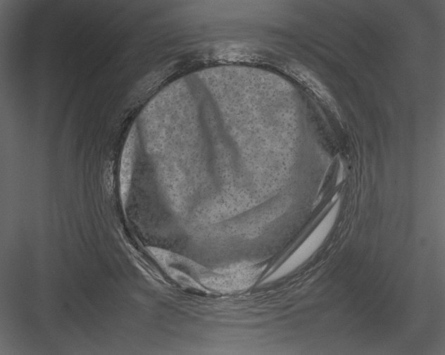 X0000082940401200702222252