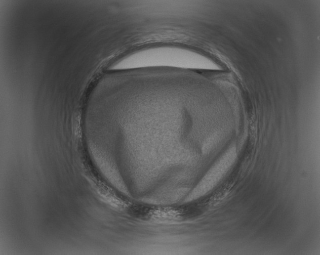 X0000082940403200702222252