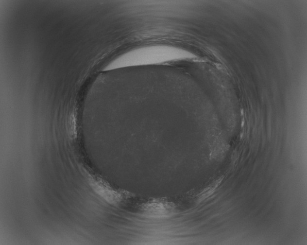 X0000082940404200702222252