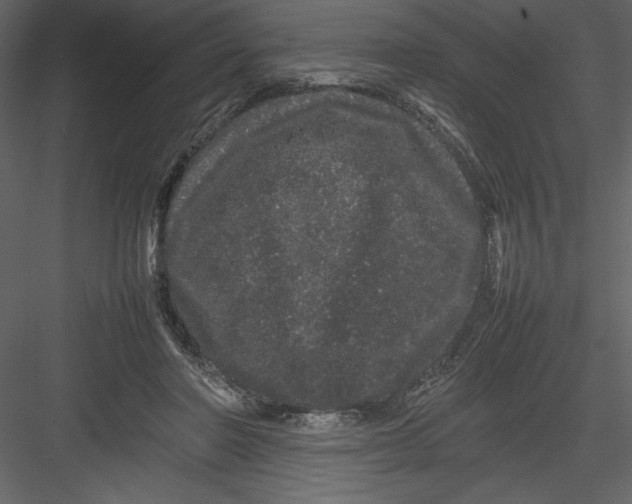 X0000082940406200702222252