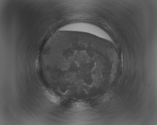 X0000082940408200702222252