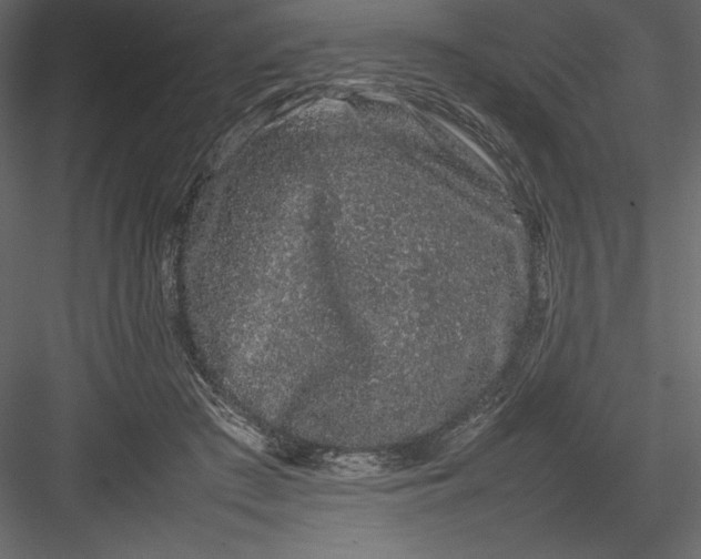 X0000082940409200702222252