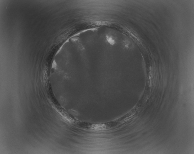 X0000082940410200702222252