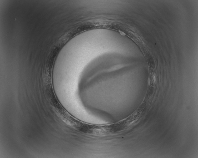 X0000082940411200702222252