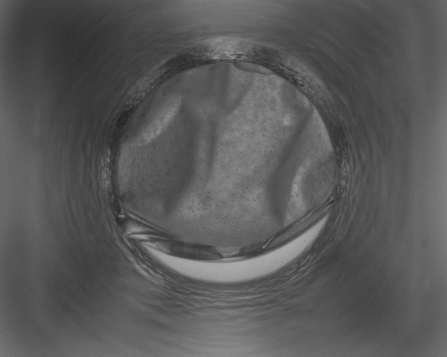 X0000082940413200702222252