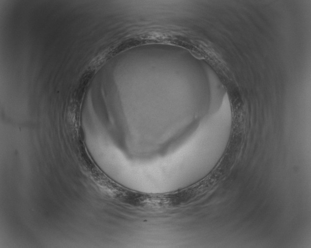 X0000082940415200702222252