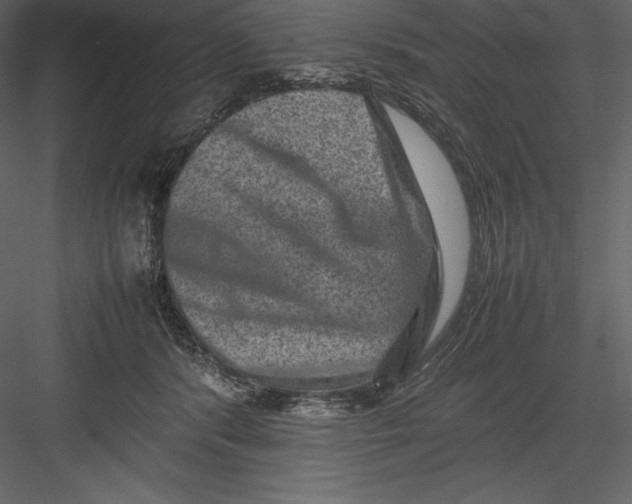 X0000082940416200702222252