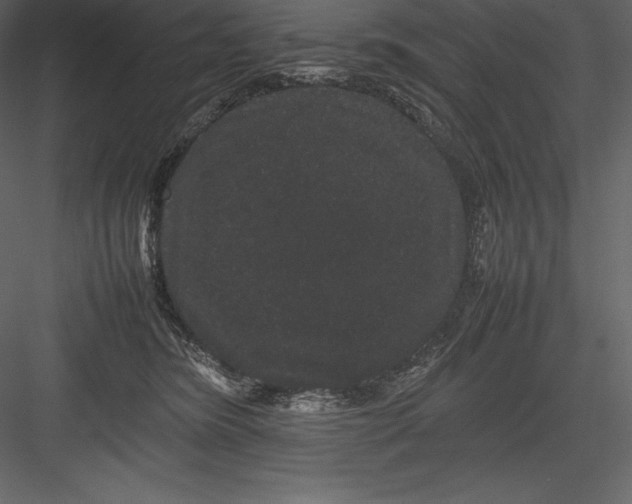 X0000082940420200702222252