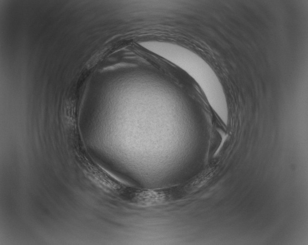 X0000082940421200702222252