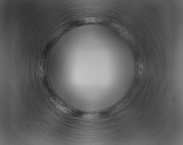 X0000082940422200702222252