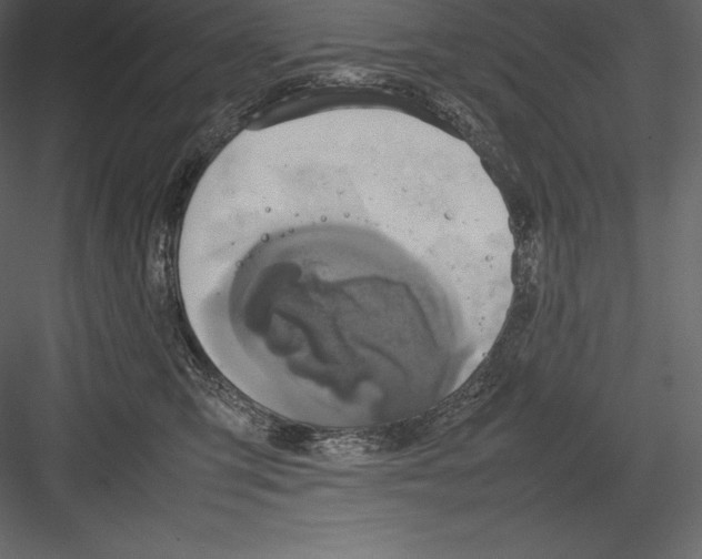 X0000082940423200702222252