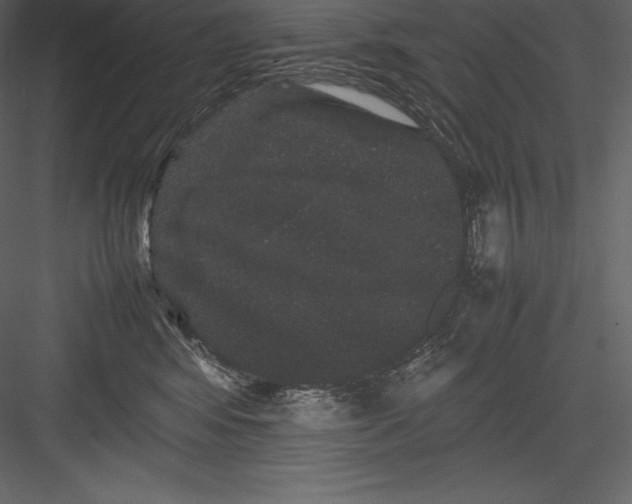 X0000082940424200702222252