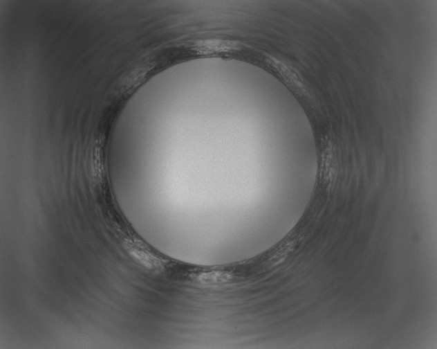 X0000082940426200702222252