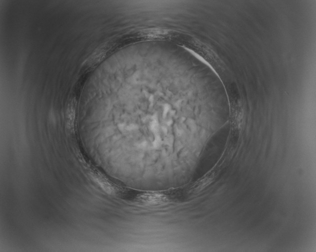 X0000082940427200702222252