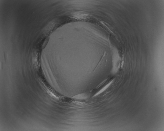 X0000082940428200702222252