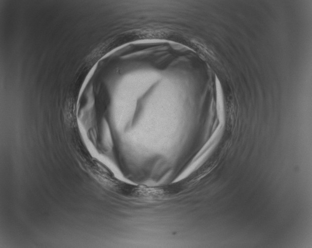 X0000082940429200702222252