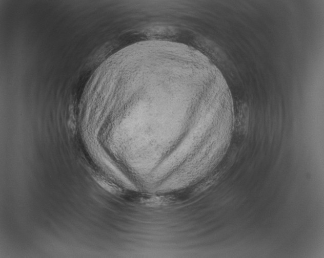 X0000082940430200702222252