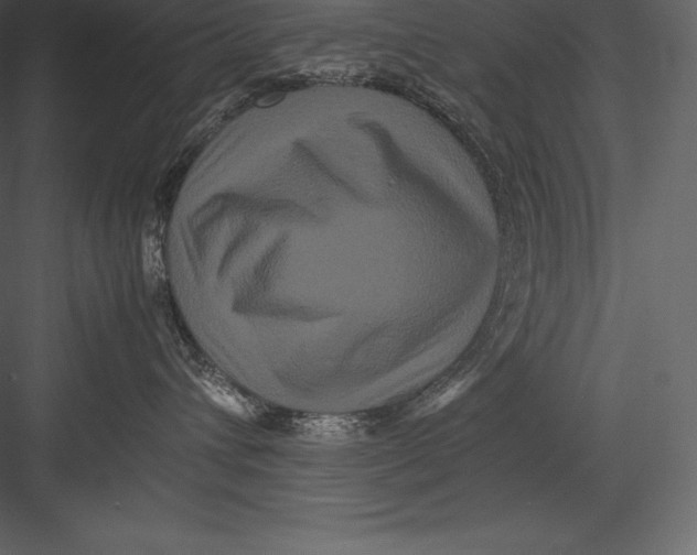 X0000082940432200702222252