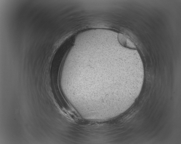 X0000082940433200702222251