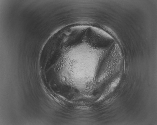 X0000082940435200702222251