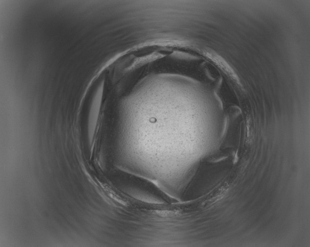 X0000082940436200702222251