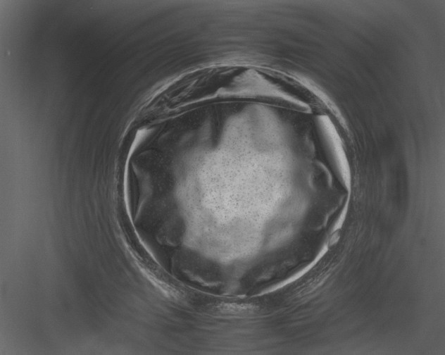 X0000082940437200702222251