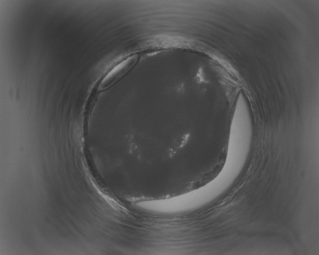 X0000082940438200702222251