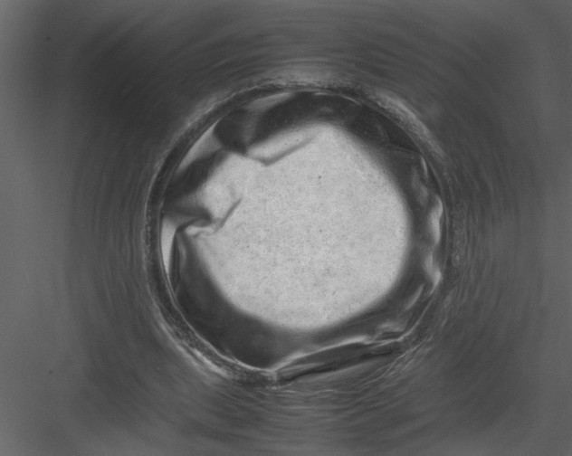 X0000082940439200702222251