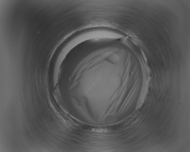 X0000082940440200702222251