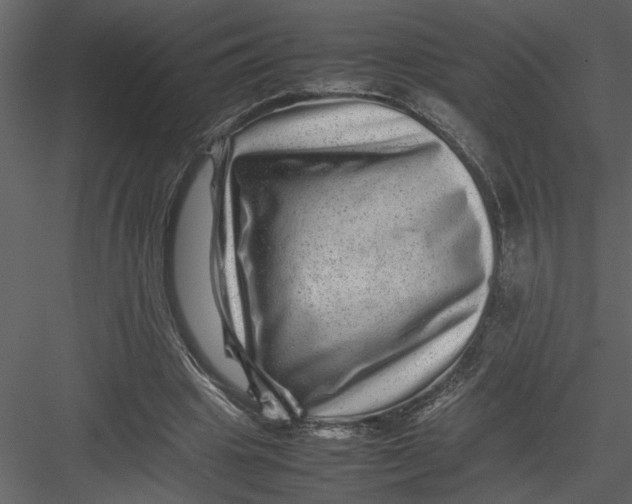 X0000082940441200702222251