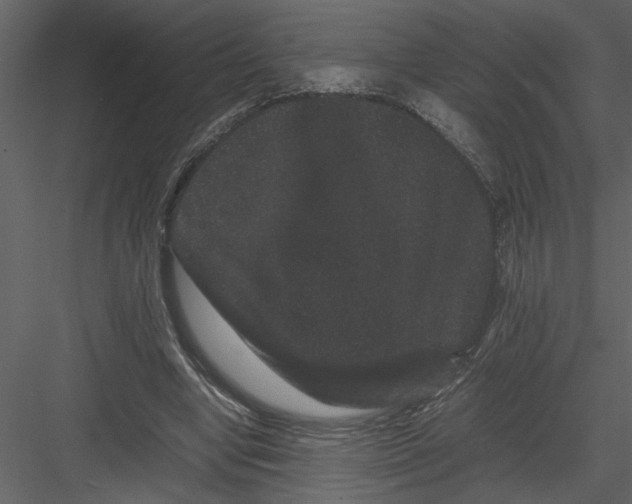 X0000082940442200702222251