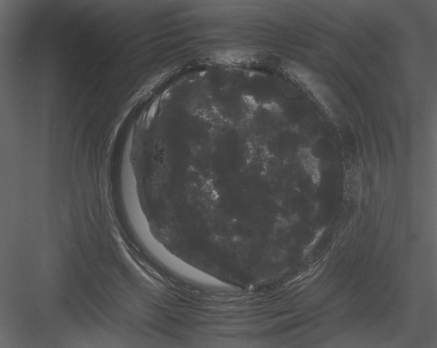 X0000082940443200702222251