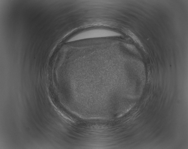 X0000082940444200702222251