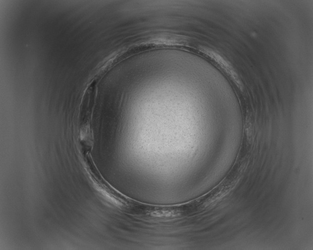 X0000082940445200702222251