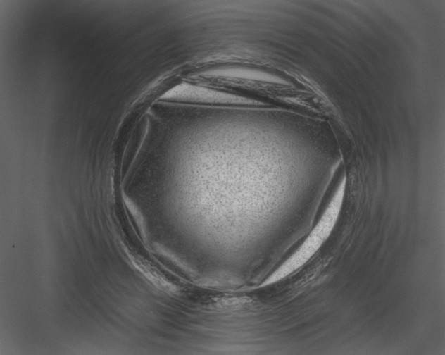 X0000082940446200702222251