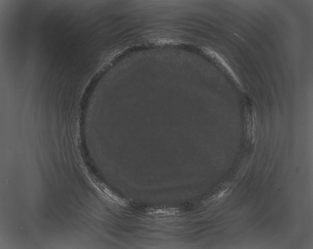 X0000082940447200702222251