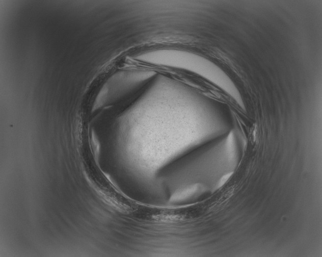 X0000082940448200702222251