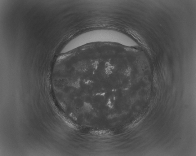 X0000082940449200702222251